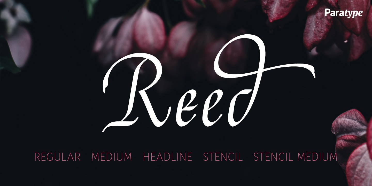 Пример шрифта Reed